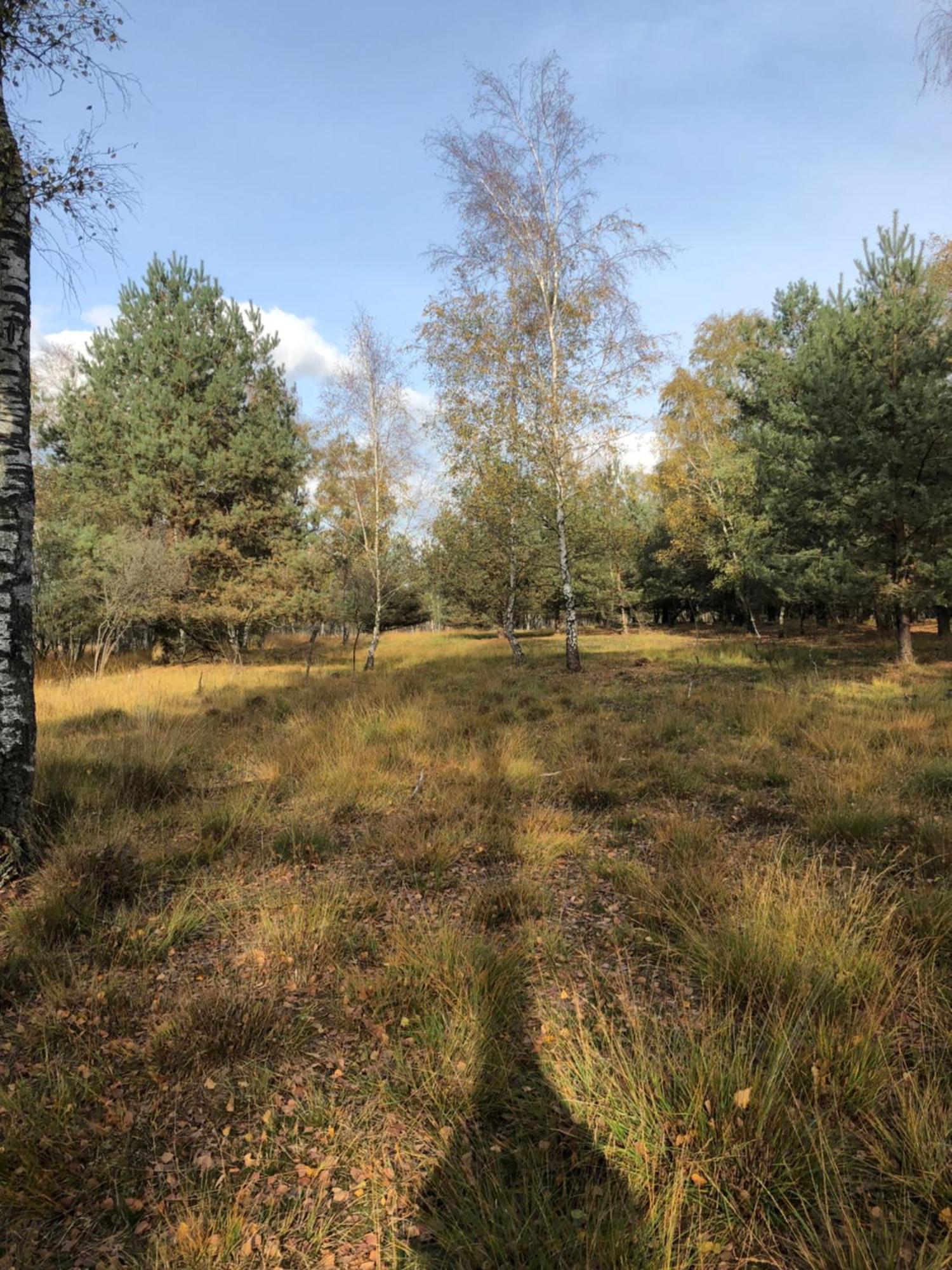 City Apparte Exklusiv - Direkt Am Antonius-Hospital - Stilvoll Wohnen Im Herzen Von Gronau Gronau  Exterior foto